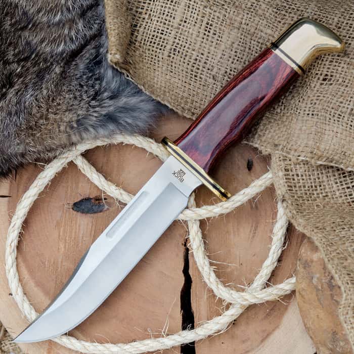 Buck Special Birchwood Fixed Blade Hunter Knife Free Shipping!