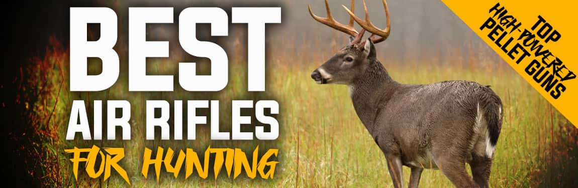Best Air Rifle for Deer Hunting: Top High-Powered Pellet Guns