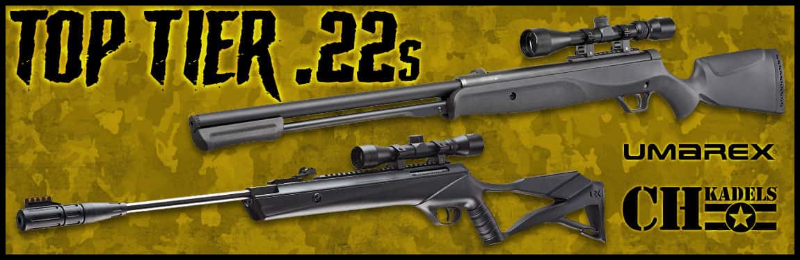 The Best .22 Caliber Air Rifle for The Money