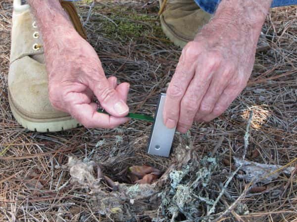 Starting A Fire Without Matches