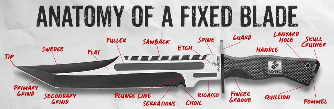 Anatomy of a fixed blade