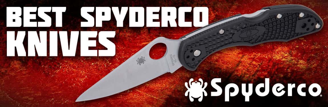 Best Spyderco Knives