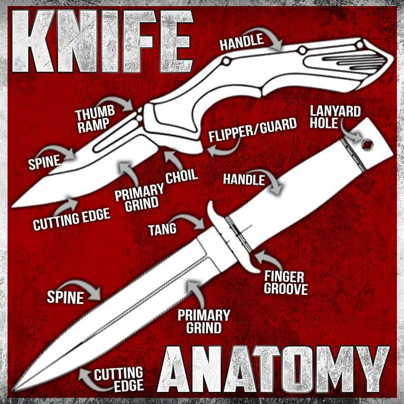 Parts of a Knife The Anatomy of the Knife