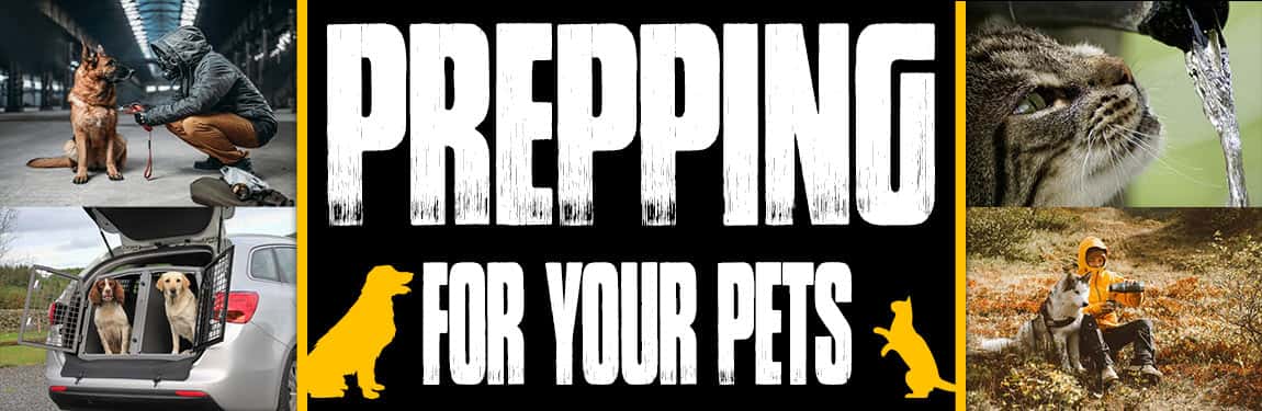 Prepping For Your Pets