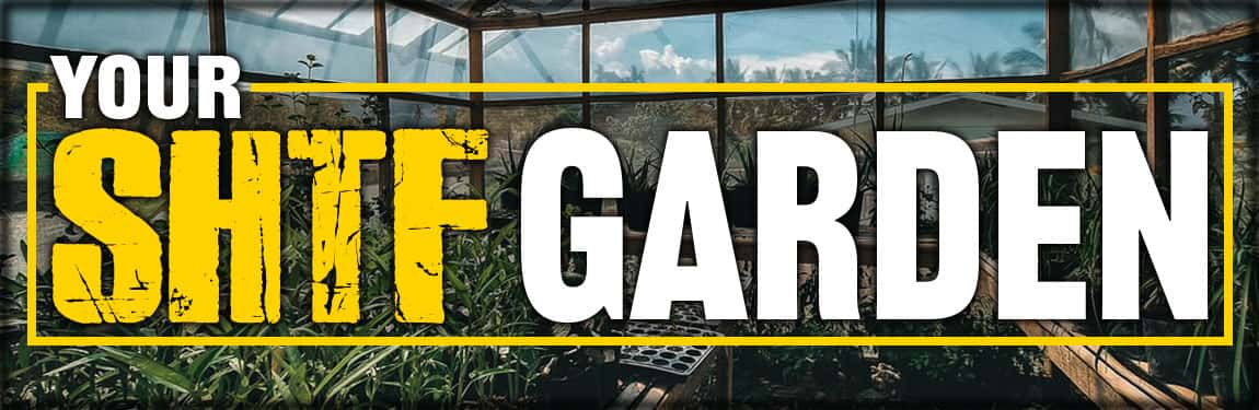 Planting An SHTF Garden