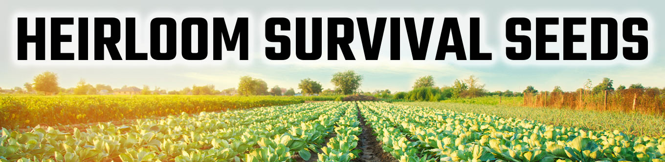 Heirloom Survival Seeds