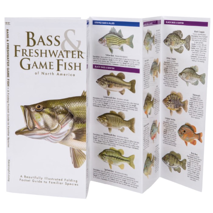 Bass And Freshwater Game Fish Of North America Folding Guide | BUDK.com ...