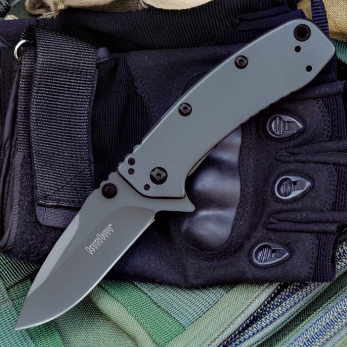 Kershaw Cryo II Pocket Knife | BUDK.com - Knives & Swords At The Lowest ...